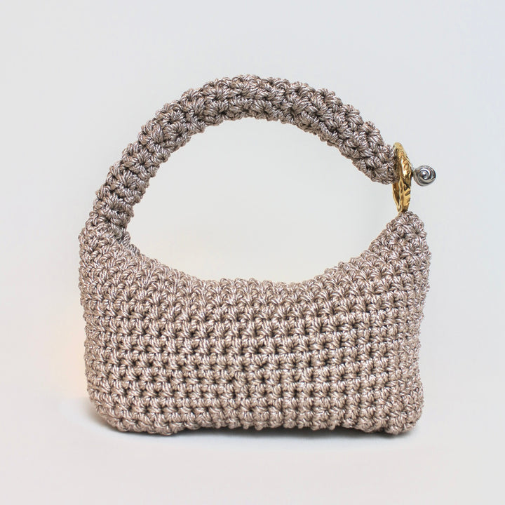 Small Gigi Clasp Bag in Metallic